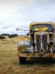 Wen Xuxu Huo Sijue Wen Xuxu Huo Sijue