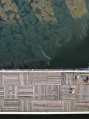 One person opens the One person opens the