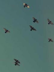 Horror Game Designer Horror Game Designer