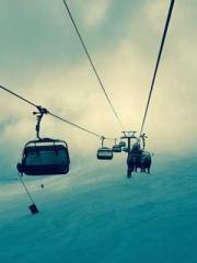 After Transmigrating