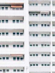 lt;lt;lt;Visionary S lt;lt;lt;Visionary S