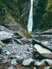 The Imperial Concubi The Imperial Concubi