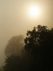 Yang Lin, Li Yuyao, Yang Lin, Li Yuyao,