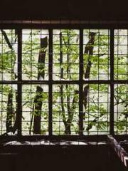 The Heavenly Physici The Heavenly Physici