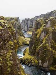 Urban Immortal Lord Urban Immortal Lord