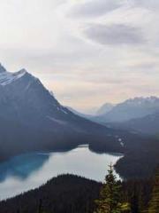 lt;lt;lt;Escape to a lt;lt;lt;Escape to a