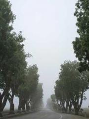 Reborn as the Belove